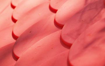 Bragenham plastic roof costs